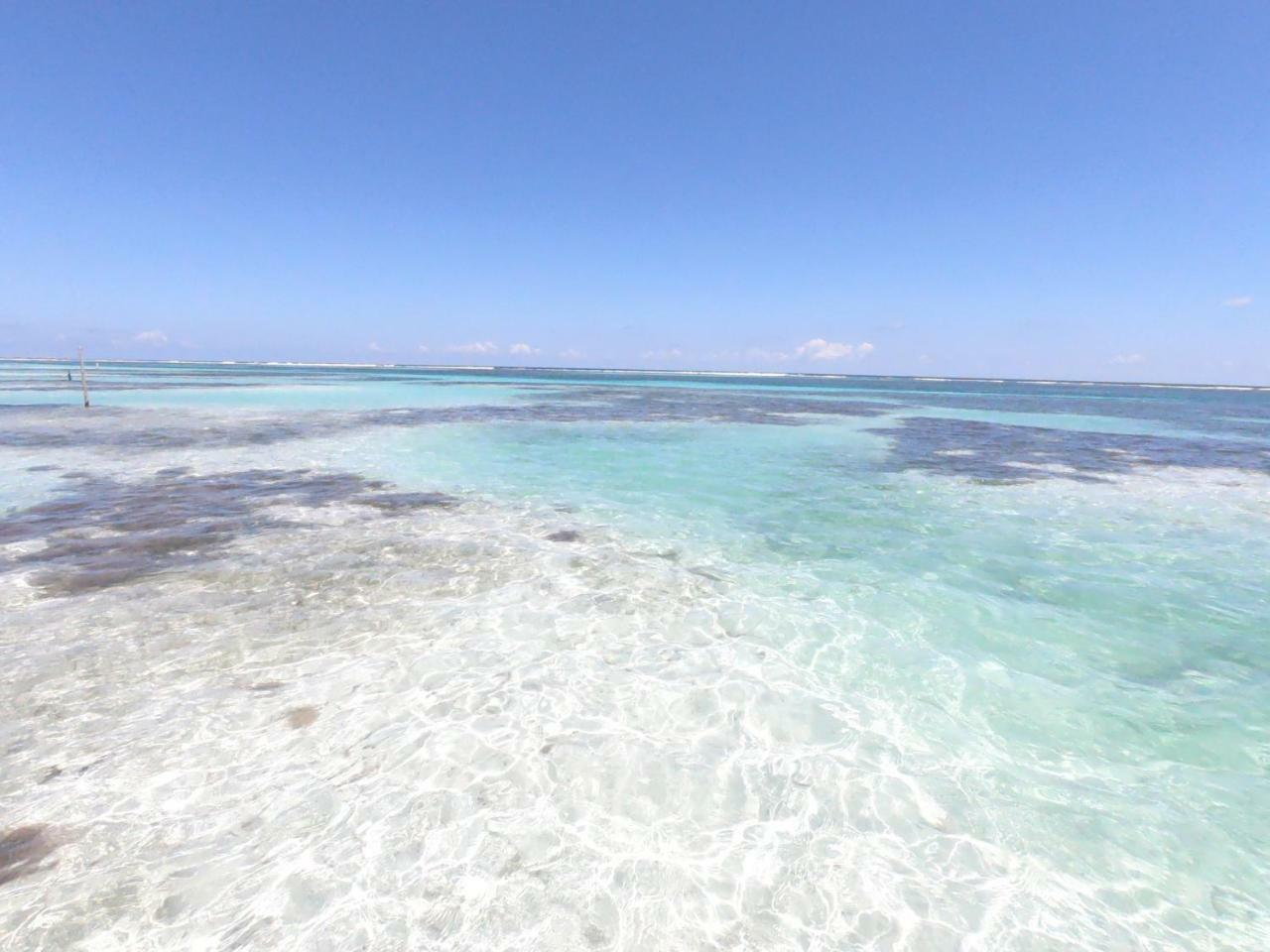 Palmeras De Mahahual Cabanas Экстерьер фото